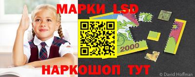 гидра Рязань