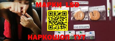 гидра Рязань