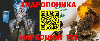 гидра Рязань