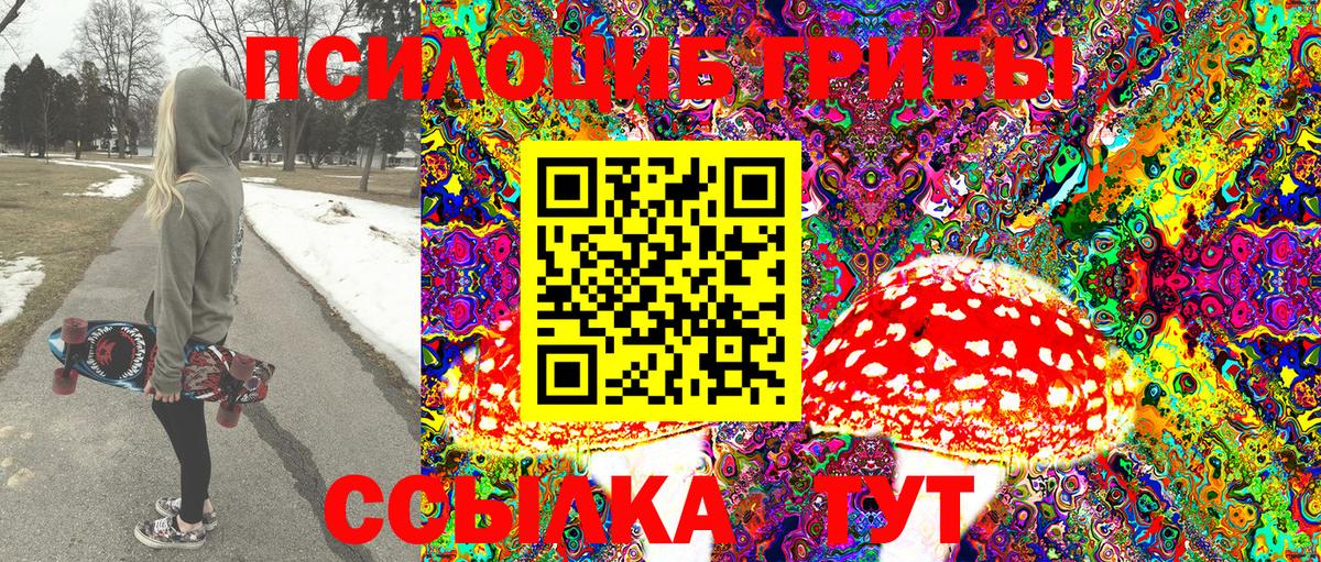 Новочеркасск  Псилоцибиновые грибы Cubensis  Вход с VPN 